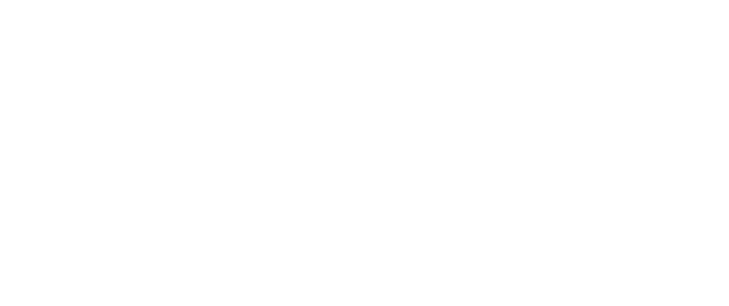 לקוח 5